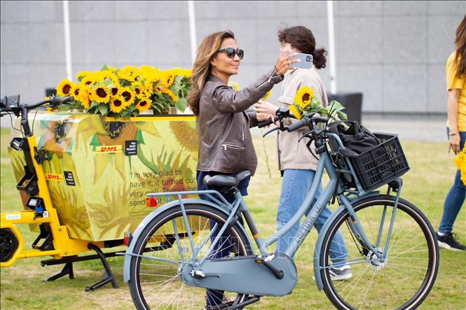 Du khách chụp ảnh với hoa hướng dương tại lễ kỷ niệm 50 năm thành lập Bảo tàng Van Gogh ở  thành phố Amsterdam, Hà Lan, ngày 2/6/2023. Ảnh: THX/TTXVN