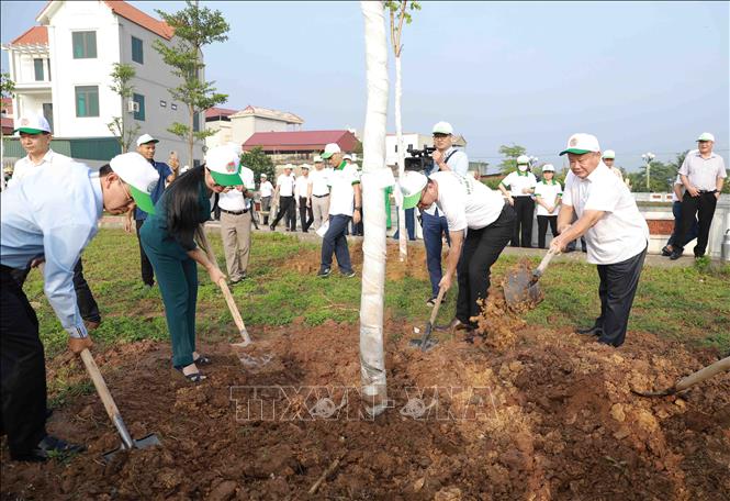 Các đại biểu trồng cây xanh hưởng ứng ngày môi trường thế giới tại khu hồ điều hoà, thôn Phương Bản, xã Song Phương, huyện Hoài Đức, thành phố Hà Nội. Ảnh: Vũ Sinh - TTXVN