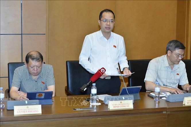Đại biểu Quốc hội tỉnh Sơn La Đinh Công Sỹ phát biểu. Ảnh: Minh Đức – TTXVN