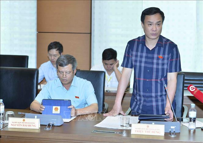Đại biểu Quốc hội tỉnh Hải Dương Triệu Thế Hùng phát biểu. Ảnh: Minh Đức – TTXVN
