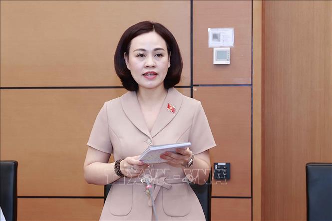 Đại biểu Quốc hội tỉnh Ninh Bình Trần Thị Hồng Thanh phát biểu. Ảnh: Doãn Tấn - TTXVN