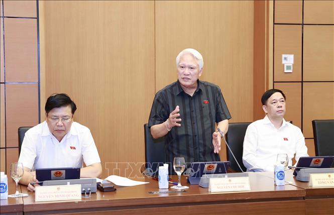 Đại biểu Quốc hội TP. Hải Phòng Nguyễn Chu Hồi phát biểu. Ảnh: Doãn Tấn - TTXVN