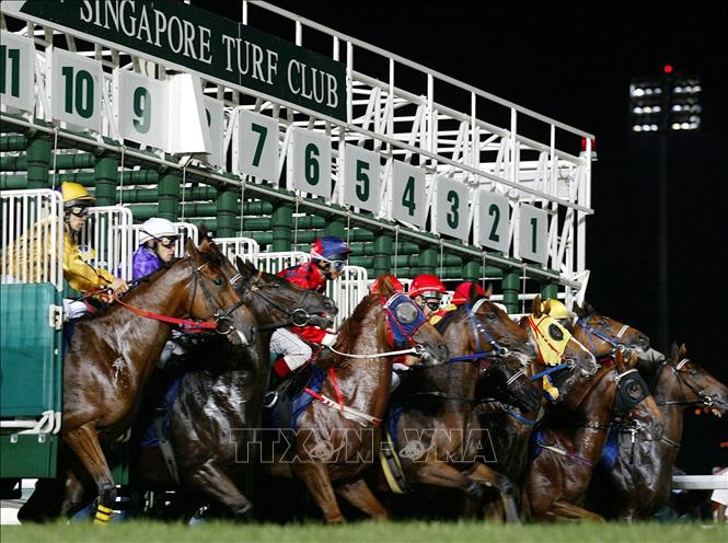 (Tư liệu) Các kỵ sĩ tham gia một giải đua ngựa quốc tế tại trường đua Bukit Turf Club ở Singapore, ngày 11/5/2002. Ảnh: AFP/TTXVN