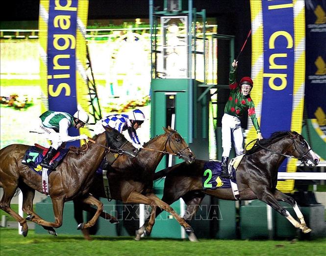 (Tư liệu) Các kỵ sĩ tham gia một giải đua ngựa quốc tế tại trường đua Bukit Turf Club ở Singapore, ngày 12/5/2001. Ảnh: AFP/TTXVN