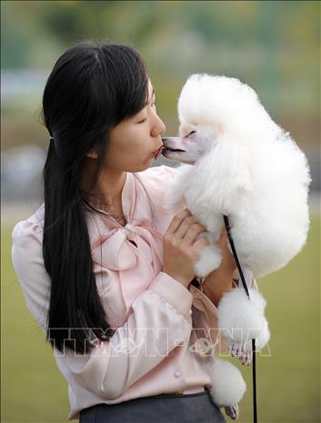 Một phụ nữ chụp ảnh cùng chú chó  tại Triển lãm thú cưng ở Seoul, Hàn Quốc. Ảnh: AFP/TTXVN