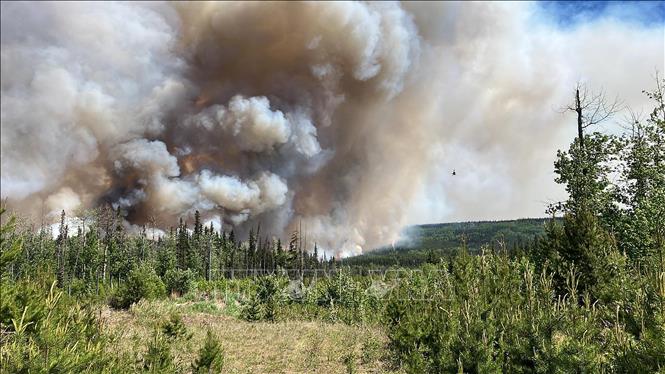 Khói cháy rừng bao trùm vùng Dawson Creek, British Colombia, Canada, ngày 7/6/2023. Ảnh: AFP/TTXVN