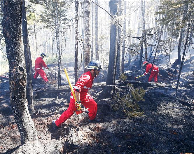 Lính cứu hoả nỗ lực dập lửa cháy rừng ở Nova Scotia, Canada ngày 30/5/2023. Ảnh: AFP/TTXVN