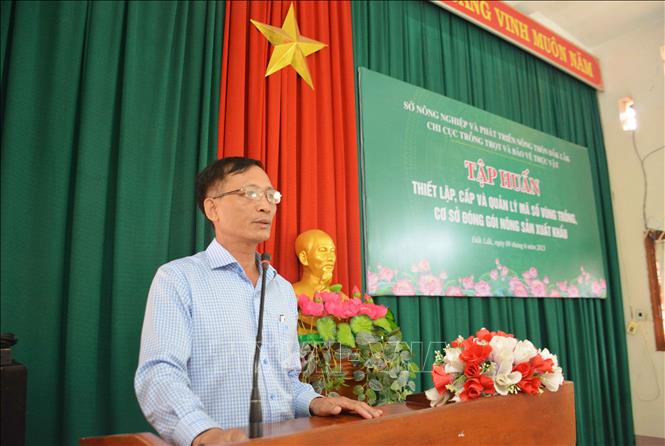 Ông Lê Văn Thành, Chi cục trưởng Chi cục Trồng trọt và Bảo vệ thực vật tỉnh Đắk Lắk phát biểu tại Hội nghị. Ảnh: Hoài Thu – TTXVN