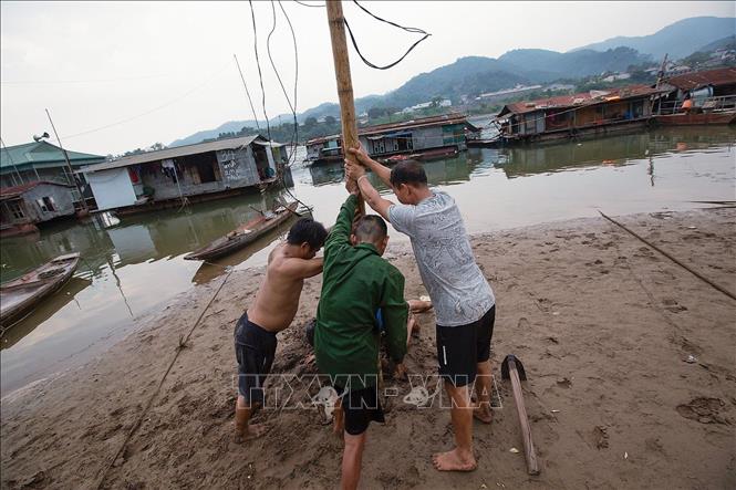 Trong ảnh: Người dân làng vạn chài tranh thủ khi nước cạn trồng cột để kéo điện sinh hoạt về sử dụng. Ảnh: Trọng Đạt - TTXVN