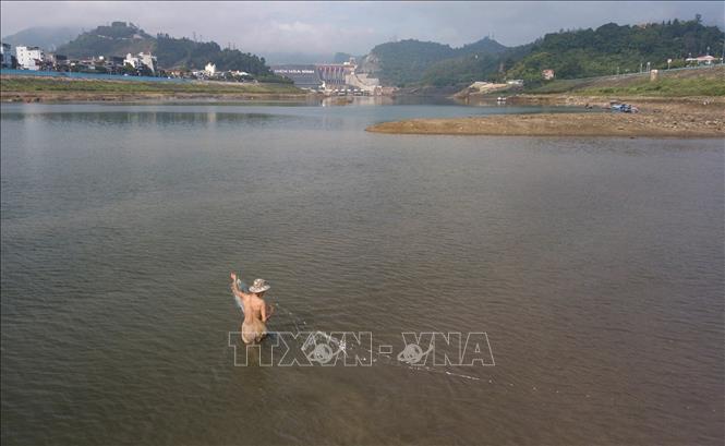 Trong ảnh: Người dân lội nước giăng lưới bắt cá ngay giữa dòng sông Đà. Ảnh: Trọng Đạt - TTXVN