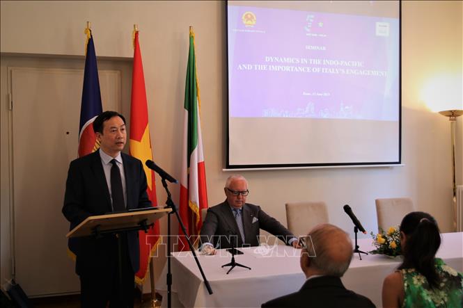 Vietnamese Ambassador Duong Hai Hung speaks at the seminar. VNA Photo