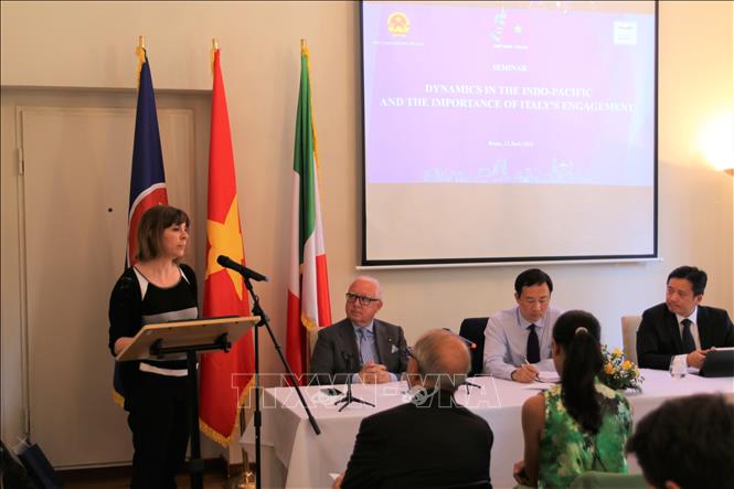 Prof. Silvia Menegazzi from the LUISS University of Rome speaks at the seminar. VNA Photo