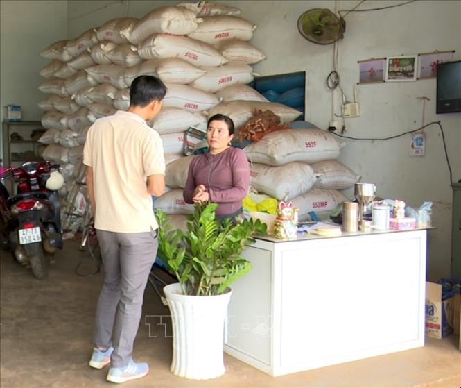 Three days after the gun attacks targeting the headquarters of the People’s Committees of Ea Tieu and Ea Ktur communes of Cu Kuin district, the Central Highlands province of Dak Lak, normal activities has resumed in the localities with ensured security thanks to the efforts of authorised forces. VNA Photo: Quang Thái