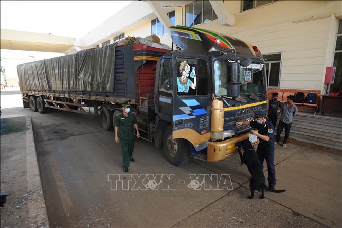 Trong ảnh: Lực lượng chức năng kiểm tra xe container đang làm thủ tục thông quan tại Cửa khẩu quốc tế Xa Mát. Ảnh: Minh Phú – TTXVN