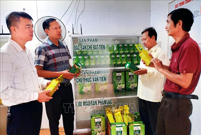 Xã Bảo Hưng, huyện Trấn Yên, tỉnh Yên Bái có 3 sản phẩm OCOP từ cây chè, trong đó có 2 sản phẩm từ chè Bát Tiên. Ảnh: Tuấn Anh - TTXVN