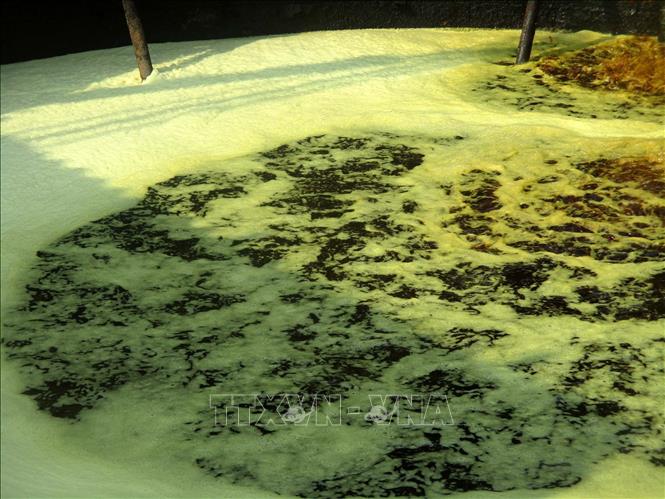 Nước thải từ tre luồng tại Cơ sở sản xuất, chế biến lâm sản của Công ty TNHH Tân Thái Thanh dọc sông Mã, thuộc huyện miền núi Bá Thước, tỉnh Thanh Hóa. Ảnh: Nguyễn Nam-TTXVN