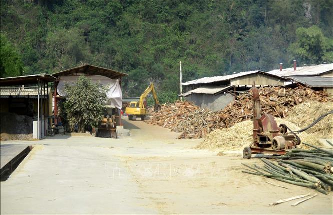 Cơ sở sản xuất, chế biến lâm sản của Công ty TNHH Tân Thái Thanh, dọc sông Mã, thuộc huyện miền núi Bá Thước, Thanh Hóa đã khắc phục để hoạt động trở lại. Ảnh: Nguyễn Nam-TTXVN