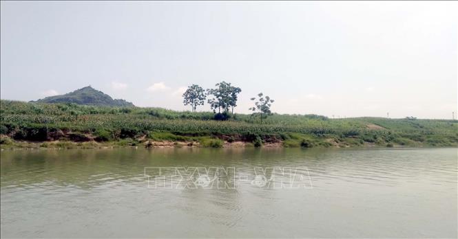 Hiện trạng sạt lở bờ sông Mã xảy ra tại xã Vĩnh Yên, huyện Vĩnh Lộc. Ảnh: TTXVN phát