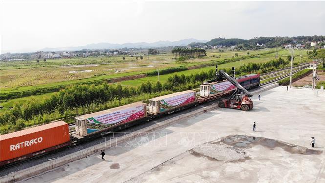 Bắc Giang lần đầu tiên xuất hành vận chuyển vải thiều xuất khẩu bằng đường  sắt - Ảnh thời sự trong nước - Kinh tế - Thông tấn xã Việt Nam (TTXVN)