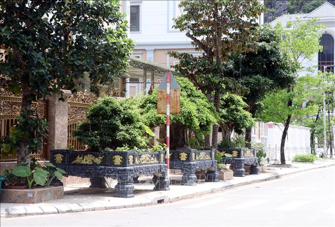 Hộ dân trong Khu đô thị Monbay (thành phố Hạ Long, tỉnh Quảng Ninh) chiếm dụng vỉa hè đặt cây cảnh. Ảnh: Văn Đức-TTXVN