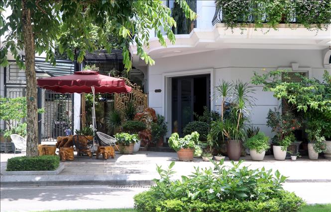 Hộ dân trong khu đô thị Vinhomes (thành phố Hạ Long, tỉnh Quảng Ninh) chiếm dụng vỉa hè đặt bàn ghế đá và cây cảnh. Ảnh: Văn Đức-TTXVN