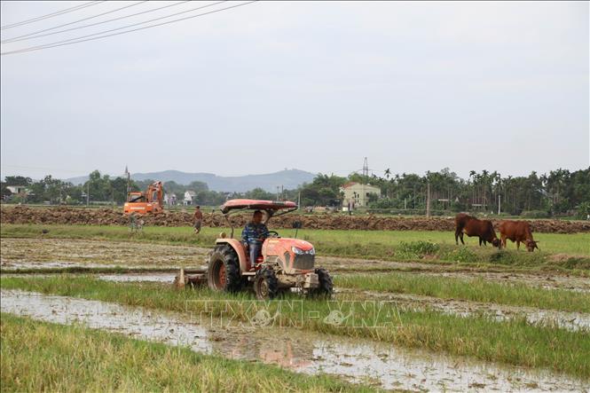 Nông dân xã Trung Sơn, huyện Đô Lương (Nghệ An) sử dụng máy móc cơ giới đẩy nhanh gieo cấy lúa vụ Hè thu 2023. Ảnh: Văn Tý-TTXVN