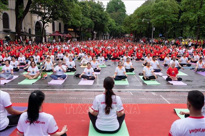Các yogis (người tập yoga) thực hiện màn đồng diễn giao thức yoga phổ biến. Ảnh: TTXVN phát