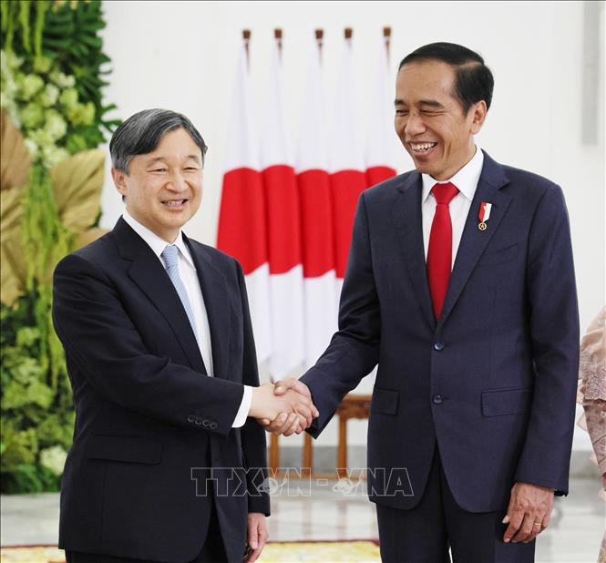 Tổng thống Indonesia Joko Widodo (phải) và Nhật hoàng Naruhito tại cuộc gặp ở Bogor, Indonesia, ngày 19/6/2023. Ảnh: Kyodo/TTXVN
