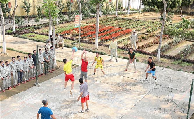 Các học viên cơ sở cai nghiện ma túy số 1 (thuộc Sở Lao động, Thương binh và Xã hội tỉnh Lào Cai) tham gia chơi thể thao nâng cao sức khoẻ vào cuối ngày. Ảnh: Quốc Khánh - TTXVN