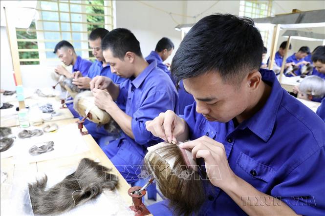 Lớp học nghề làm tóc giả tại cơ sở cai nghiện ma túy tỉnh Yên Bái. Ảnh: Anh Tuấn – TTXVN