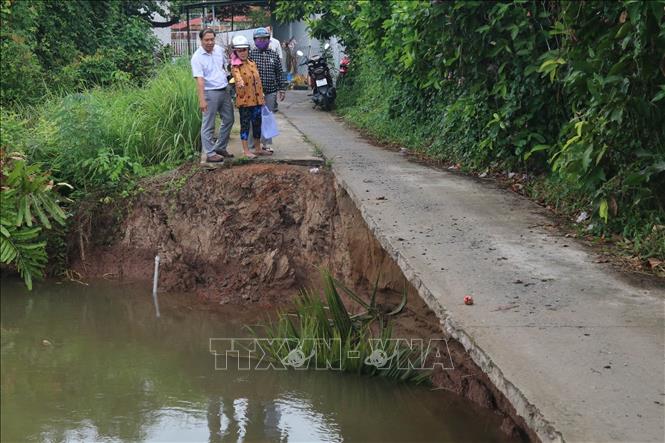 Hiện trạng sạt lở phía Tây sông Ông Vẽ, xã Mỹ Đức Đông. Ảnh: Minh Trí - TTXVN