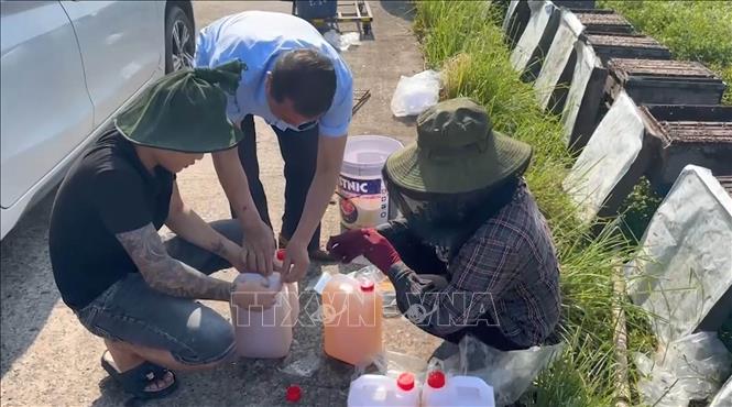 Mật ong sú vẹt được nhiều người dân ưa chuộng và tìm mua. Ảnh: Hải Yến-TTXVN