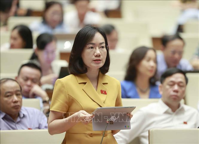 Đại biểu Quốc hội tỉnh Bắc Giang Đỗ Việt Hà phát biểu. Ảnh: Doãn Tấn - TTXVN