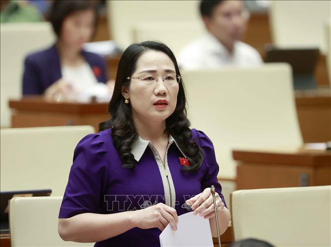 Đại biểu Quốc hội tỉnh Bắc Kạn Nguyễn Thị Thủy phát biểu. Ảnh: Doãn Tấn - TTXVN