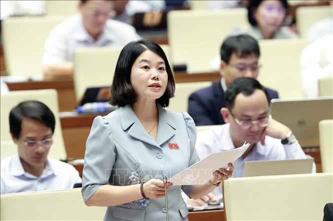 Đại biểu Quốc hội tỉnh Đắk Nông Trần Thị Thu Hằng phát biểu. Ảnh: Doãn Tấn - TTXVN