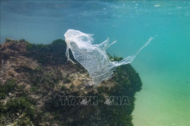 Ngày 19/6/2023, Liên hợp quốc (LHQ) đã thông qua hiệp ước quốc tế đầu tiên trên thế giới bảo vệ các vùng biển quốc tế. Đây là một thỏa thuận lịch sử về môi trường, được xây dựng nhằm bảo vệ các hệ sinh thái quan trọng đối với nhân loại. Trong ảnh (tư liệu): Một túi nhựa trôi nổi tại Ấn Độ Dương, gần thị trấn Ahangama ở Galle, Sri Lanka, ngày 31/12/2021. Ảnh: AFP/TTXVN