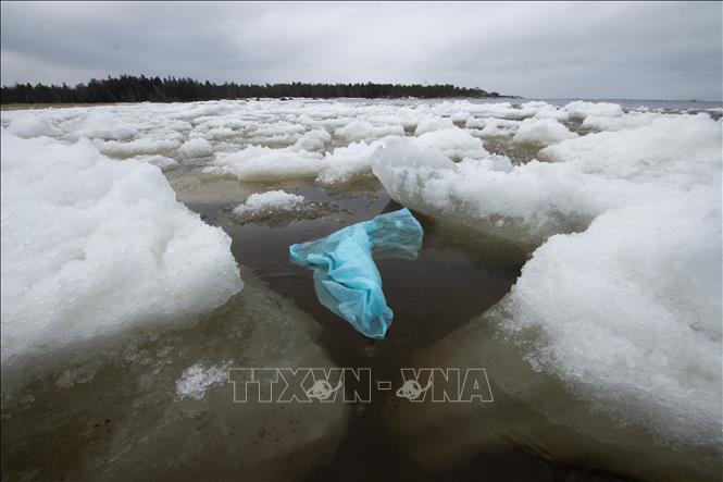 Ngày 19/6/2023, Liên hợp quốc (LHQ) đã thông qua hiệp ước quốc tế đầu tiên trên thế giới bảo vệ các vùng biển quốc tế. Đây là một thỏa thuận lịch sử về môi trường, được xây dựng nhằm bảo vệ các hệ sinh thái quan trọng đối với nhân loại. Trong ảnh (tư liệu): Túi nhựa trôi nổi trong Vịnh biển Bothnia, gần Pietarsaari (Phần Lan) vào cuối mùa xuân, thời điểm băng tuyết trên biển bắt đầu tan, ngày 3/5/2023. Ảnh: AFP/TTXVN