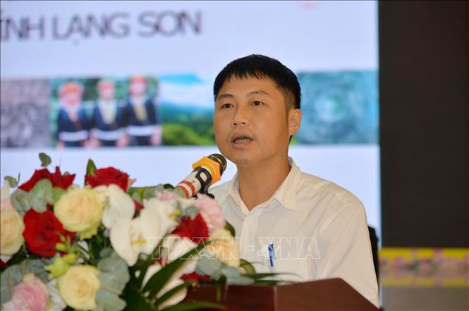 Đại diện Công ty Cổ phần Mỹ thuật Trung ương phát biểu tại Hội thảo. Ảnh: Anh Tuấn – TTXVN
