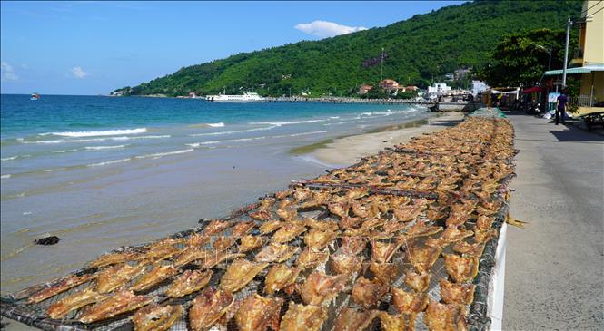 Trong ảnh: Giàn khô kéo dài hàng trăm mét ở xã đảo Lại Sơn, huyện Kiên Hải, tỉnh Kiên Giang. Ảnh: Văn Sĩ - TTXVN                 