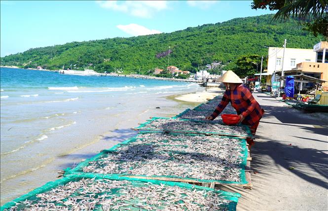 Trong ảnh: Hàng trăm hộ dân ở các xã ven biển, đảo tỉnh Kiên Giang có nguồn thu nhập ổn định từ nghề làm cá khô, tôm khô, khô mực. Ảnh: Văn Sĩ - TTXVN