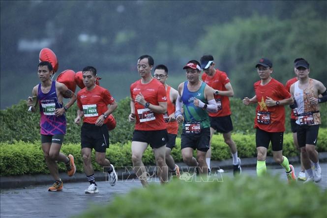 Giải chạy Press Marathon 2023 gồm 500 vận động viên là các phóng viên, nhà báo và các đối tác truyền thông tham gia tranh tài. Ảnh: Minh Quyết - TTXVN