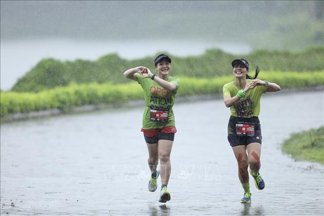 Các VĐV tham gia tranh tài ở cự ly 10 km. Ảnh: Minh Quyết - TTXVN