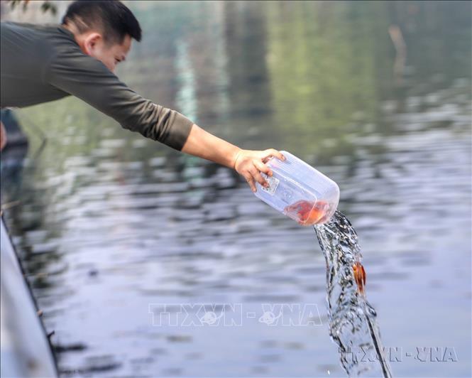 Người dân không sử dụng túi nylon để mang cá chép đi thả trong ngày lễ cúng ông Công, ông Táo về trời nhằm bảo vệ môi trường. Ảnh: Tuấn Đức - TTXVN