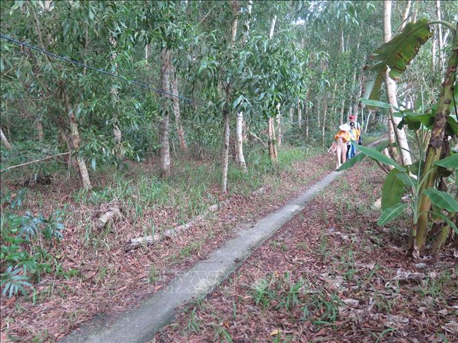Tourists in the Muoi Ngot eco-tourism site in Ca Mau province. VNA Photo: Minh Hưng