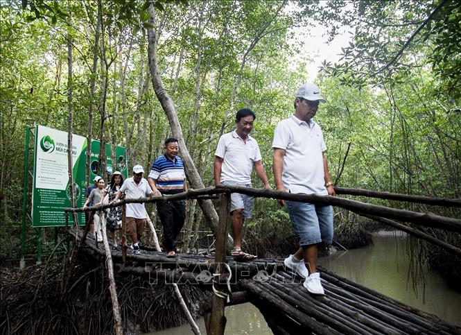 Visitors in the Ca Mau Cape National Park in Ca Mau province, a Ramsar site - wetlands of international importance. VNA Photo: Hồng Đạt