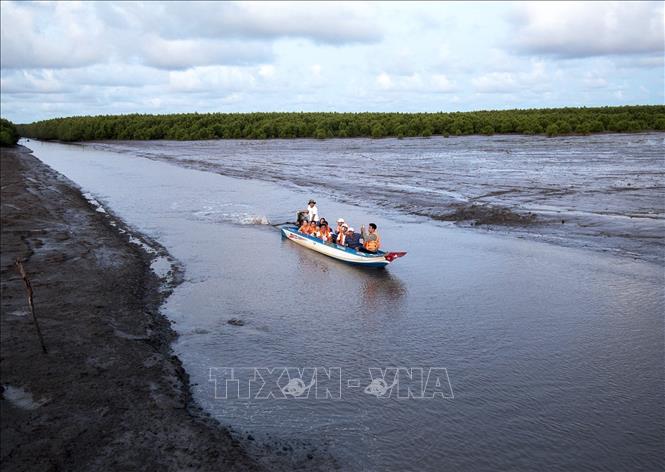 Visitors in the Ca Mau Cape National Park in Ca Mau province, a Ramsar site - wetlands of international importance. VNA Photo: Hồng Đạt