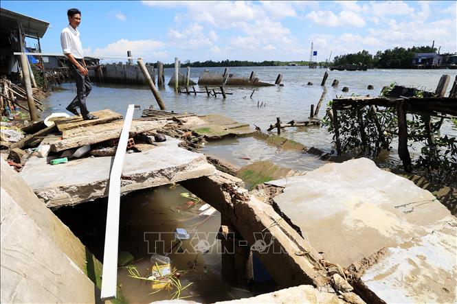 Trong ảnh: Ông Huỳnh Tiết Giao, Phó Chủ tịch xã Tam Giang, huyện Năm Căn, tỉnh Cà Mau, trước hiện trường sạt lở nhà lồng chợ và công trình kè Kinh 17 (vốn đầu tư 2,8 tỷ đồng) đang xây dựng bị sụp xuống do sạt lở vừa qua. Ảnh: Hồng Đạt - TTXVN
