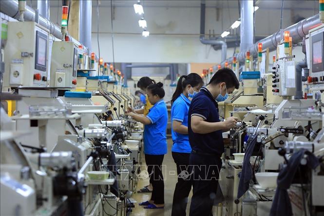 Công ty tạo việc làm ổn định cho hơn 800 công nhân. Ảnh: Tuấn Anh - TTXVN