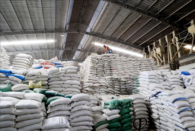 A rice storage at the Duong Vu Co. Ltd in the Mekong Delta province of Long An. VNA Photo: Hồng Đạt