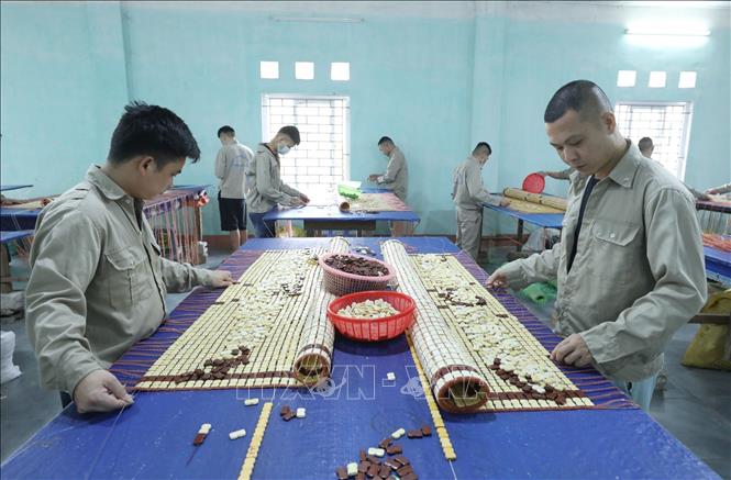 Làm chiếu tre, trúc là một hoạt động lao động trị liệu của các học viên tại Cơ sở cai nghiện ma túy tỉnh Lạng Sơn. Ảnh: Anh Tuấn – TTXVN